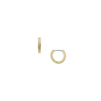 Harlow Linear Texture guldfärgade örhängen i rostfritt stål