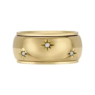 Sadie Shine Bright guldfärgad rostfri fidget-ring