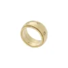 Sadie Shine Bright guldfärgad rostfri fidget-ring Sadie Shine Bright guldfärgad rostfri fidget-ring